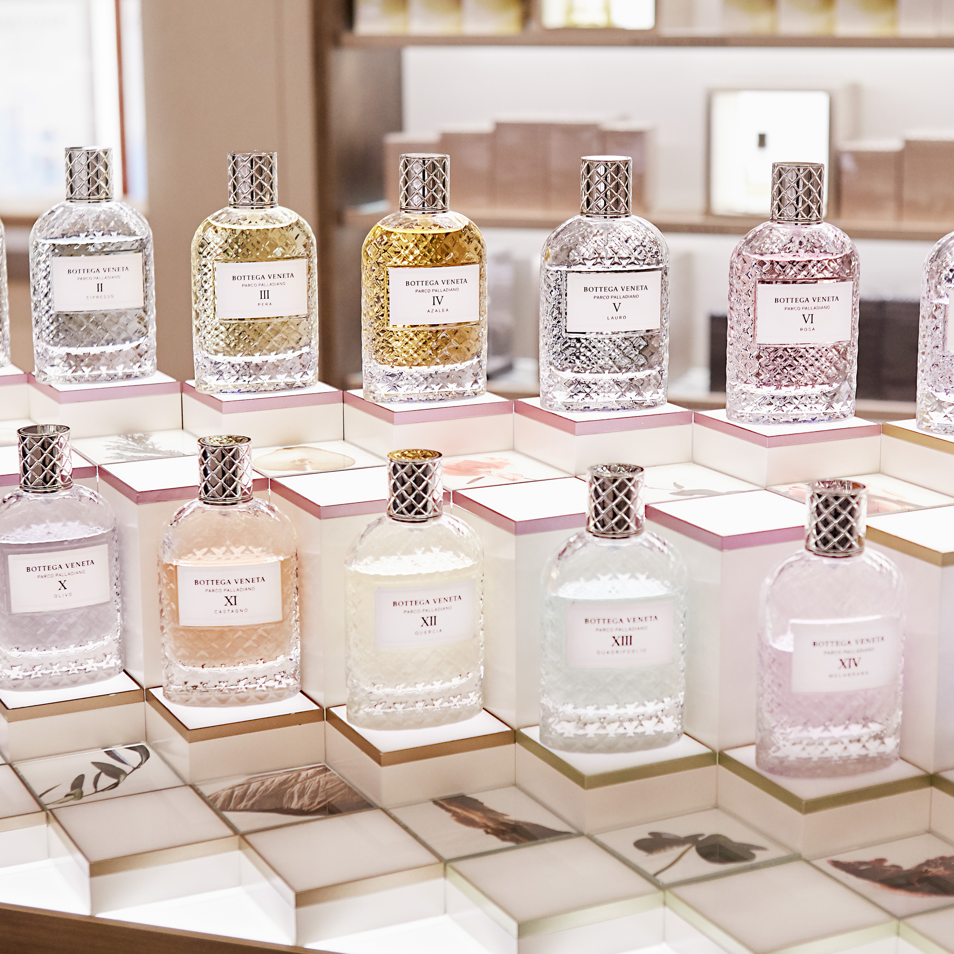 fragance