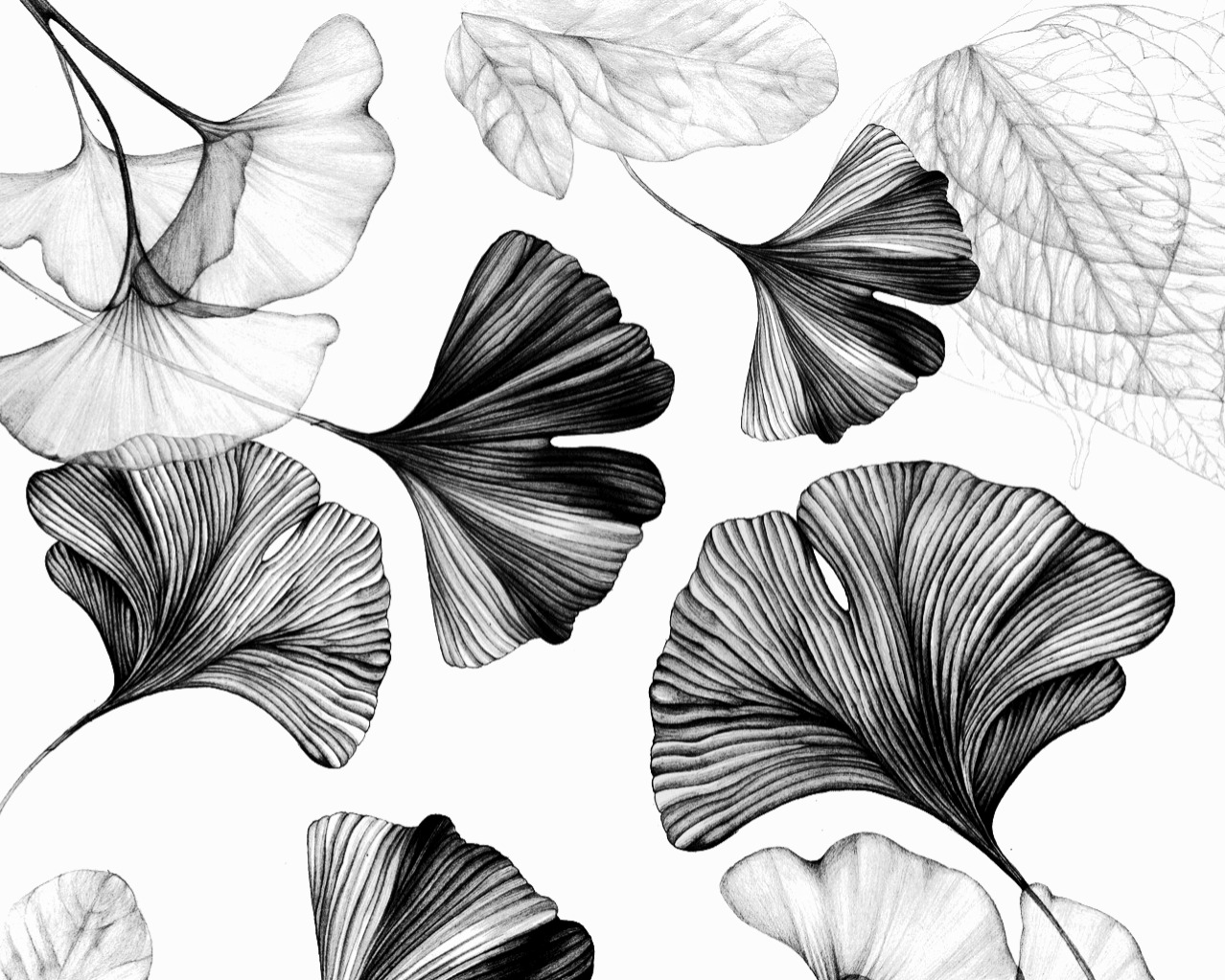 Huawei Project El Corte Ingl s Huawei Project El Corte Ingl s